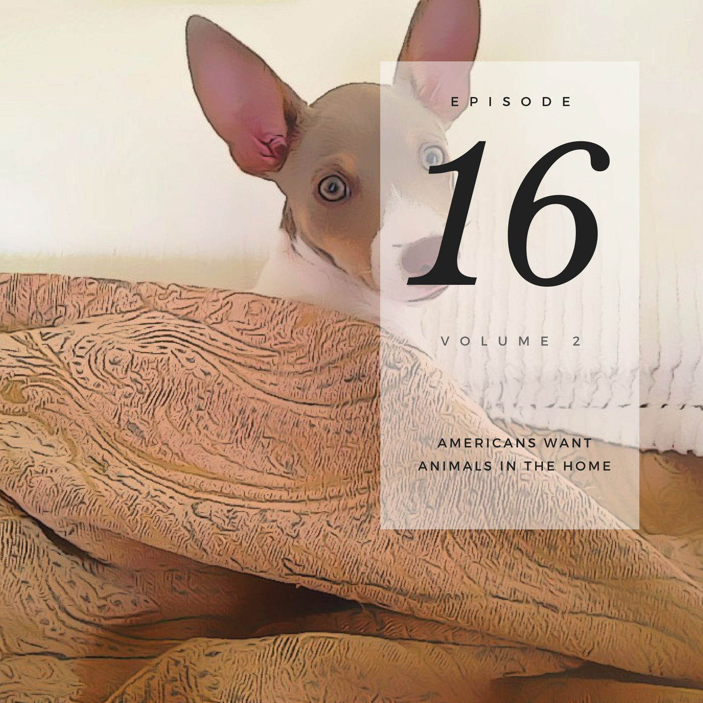 Americans Want Animals in the Home