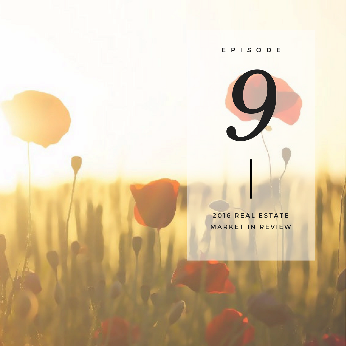 2016 Real Estate Market in Review