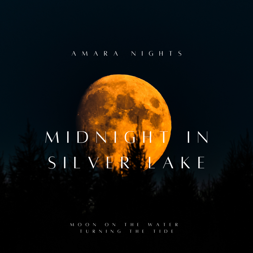 Midnight in Silver Lake Midnight in Silver Lake